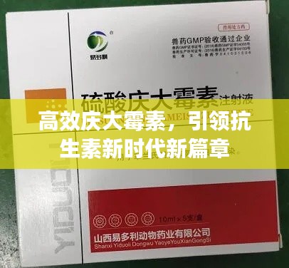 高效庆大霉素,引领抗生素新时代新篇章