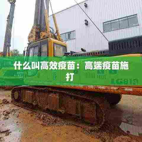 什么叫高效疫苗:高端疫苗施打