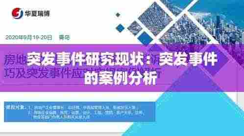 突发事件研究现状:突发事件的案例分析