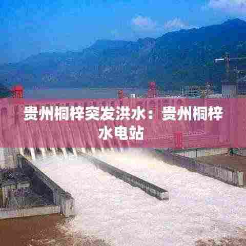 贵州桐梓突发洪水:贵州桐梓水电站