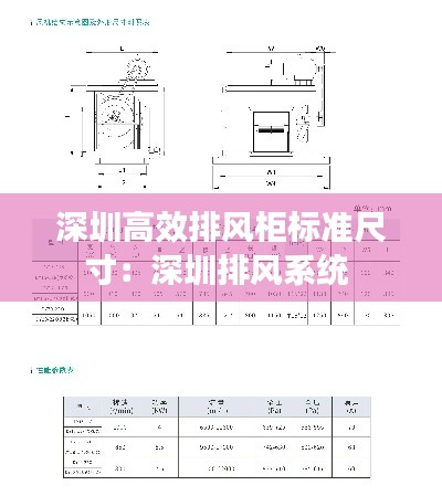 深圳高效排风柜标准尺寸:深圳排风系统