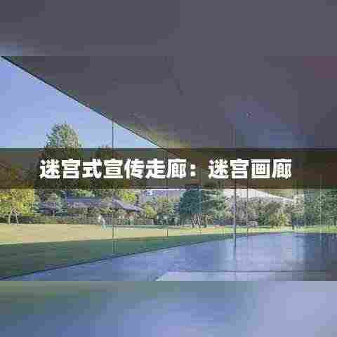 迷宫式宣传走廊:迷宫画廊