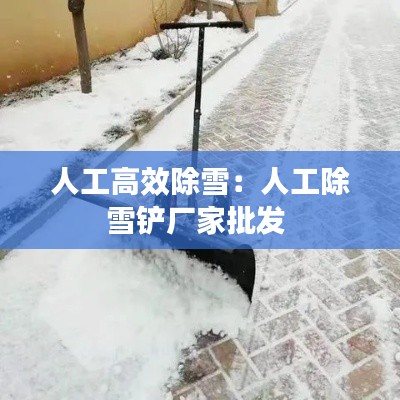 人工高效除雪:人工除雪铲厂家批发
