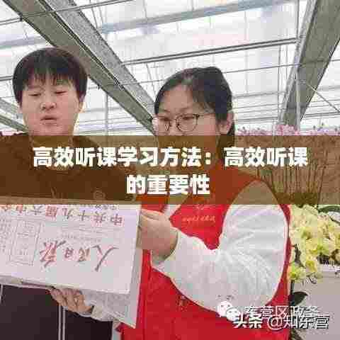 高效听课学习方法:高效听课的重要性