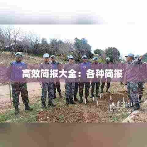 高效简报大全:各种简报