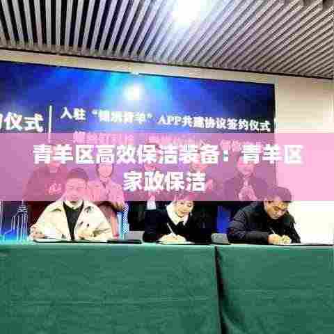 青羊区高效保洁装备：青羊区家政保洁 