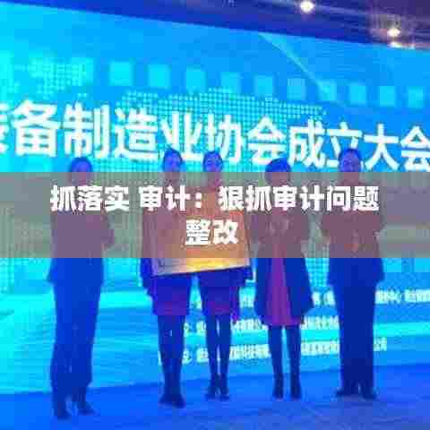 抓落实 审计：狠抓审计问题整改 