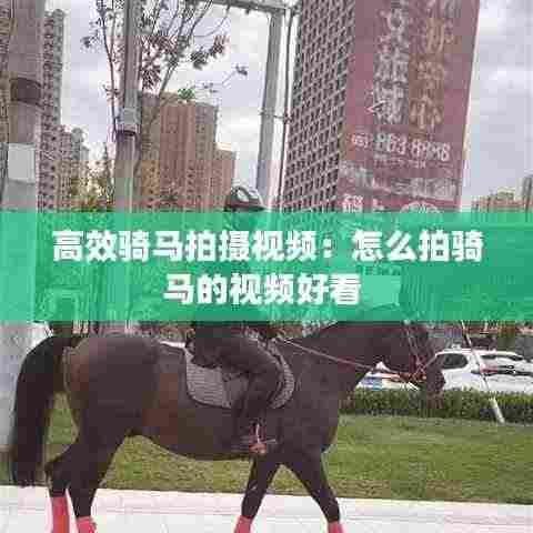 高效骑马拍摄视频:怎么拍骑马的视频好看