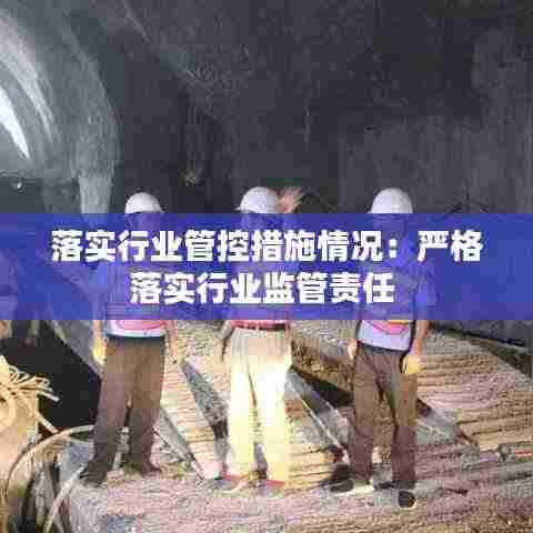 落实行业管控措施情况：严格落实行业监管责任 