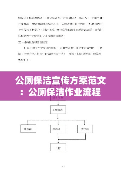 公厕保洁宣传方案范文:公厕保洁作业流程