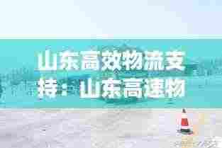 山东高效物流支持：山东高速物流骨干网 