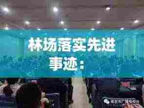 林场落实先进事迹: