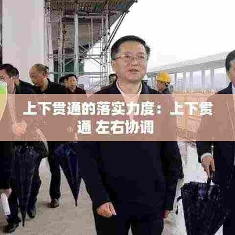 上下贯通的落实力度:上下贯通 左右协调