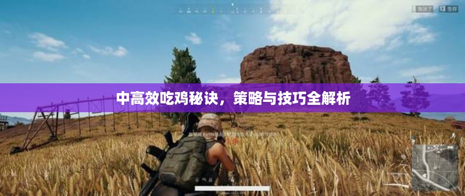中高效吃鸡秘诀,策略与技巧全解析