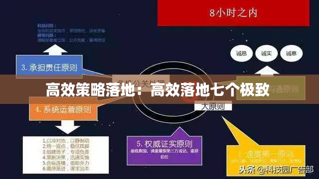 高效策略落地:高效落地七个极致