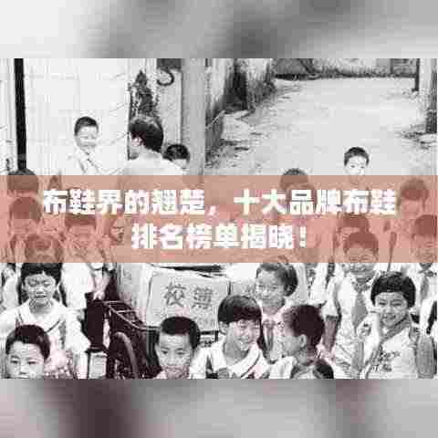 一石三鸟 第3页