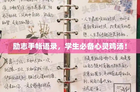 励志手帐语录，学生必备心灵鸡汤！
