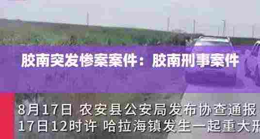 胶南突发惨案案件：胶南刑事案件 