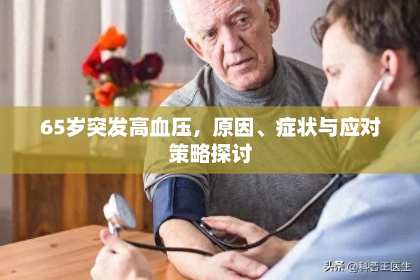 65岁突发高血压，原因、症状与应对策略探讨