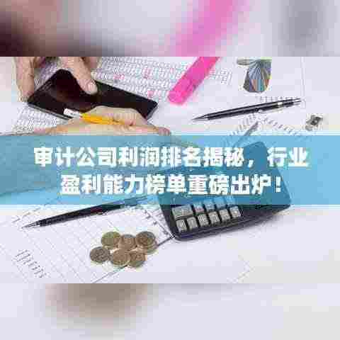 审计公司利润排名揭秘,行业盈利能力榜单重磅出炉!
