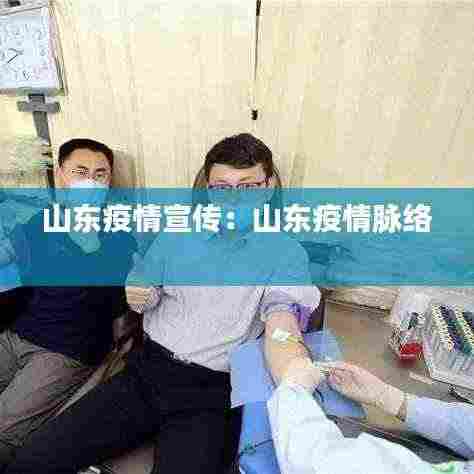 山东疫情宣传：山东疫情脉络 