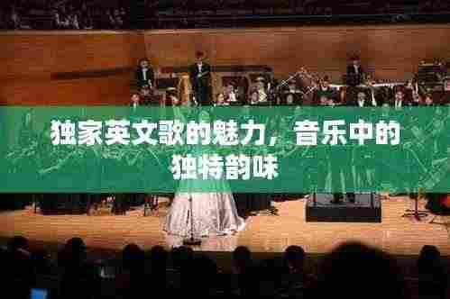 独家英文歌的魅力,音乐中的独特韵味