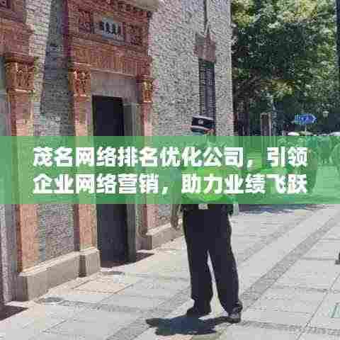 茂名网络排名优化公司,引领企业网络营销,助力业绩飞跃提升