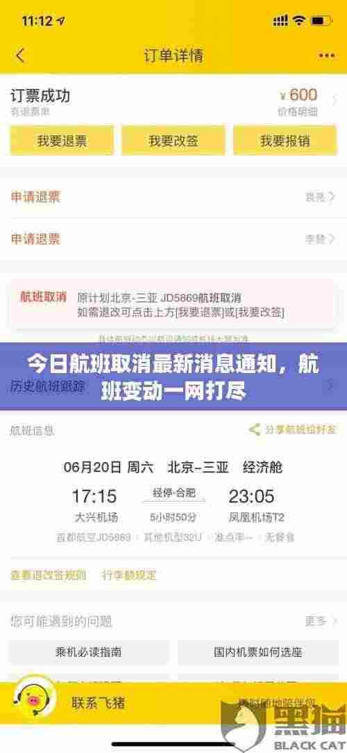 今日航班取消最新消息通知，航班变动一网打尽