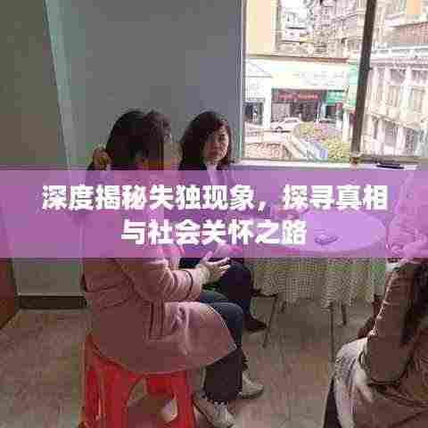 深度揭秘失独现象,探寻真相与社会关怀之路