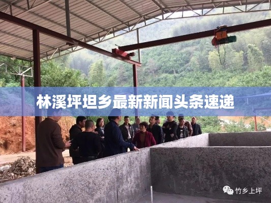林溪坪坦乡最新新闻头条速递