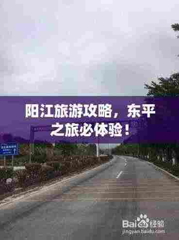 阳江旅游攻略,东平之旅必体验!