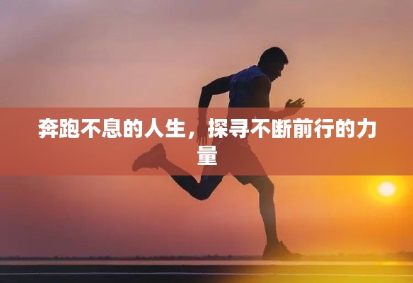 运输网络 第223页