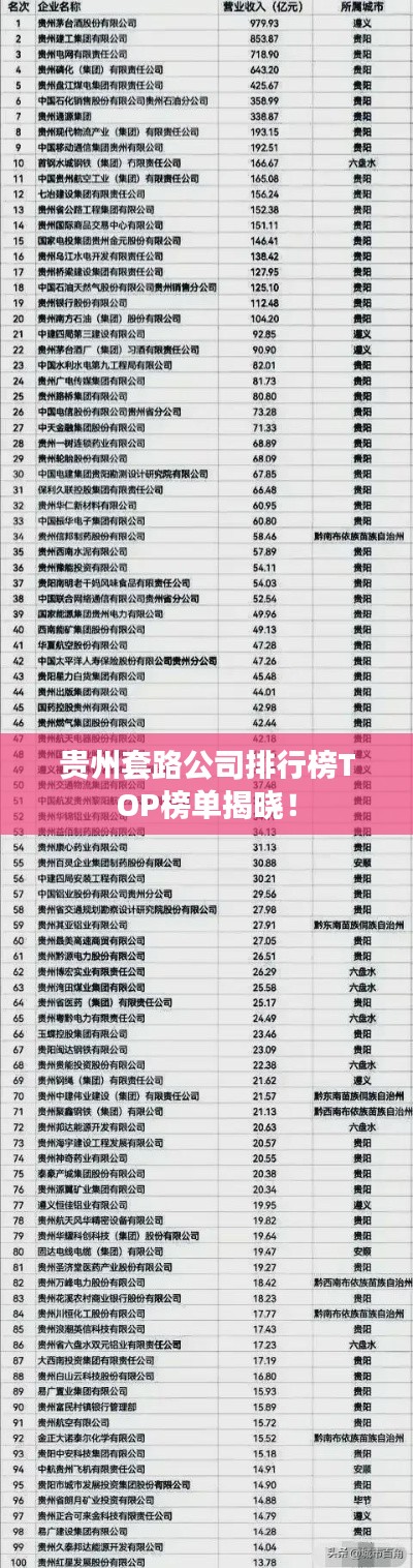 贵州套路公司排行榜TOP榜单揭晓！