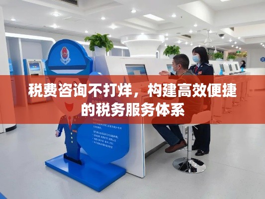 税费咨询不打烊,构建高效便捷的税务服务体系