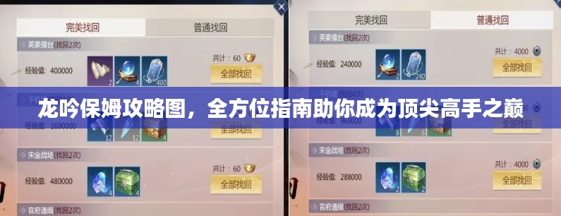 龙吟保姆攻略图,全方位指南助你成为顶尖高手之巅