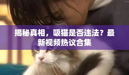 揭秘真相,吸猫是否违法?最新视频热议合集