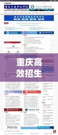 重庆高效招生引流平台：重庆市高校招生信息网 