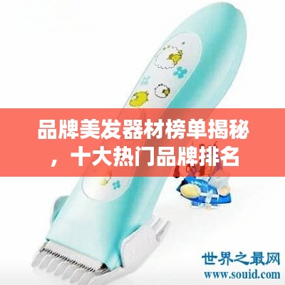 品牌美发器材榜单揭秘,十大热门品牌排名