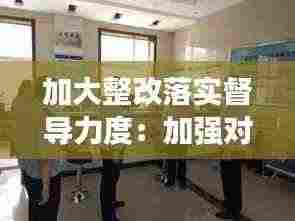加大整改落实督导力度:加强对整改工作的督导检查