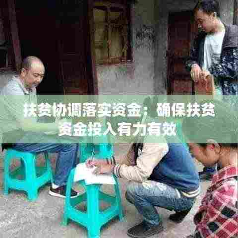 扶贫协调落实资金:确保扶贫资金投入有力有效
