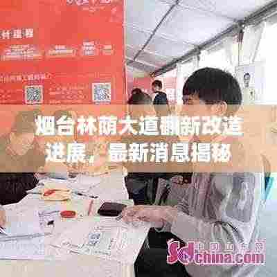 烟台林荫大道翻新改造进展，最新消息揭秘