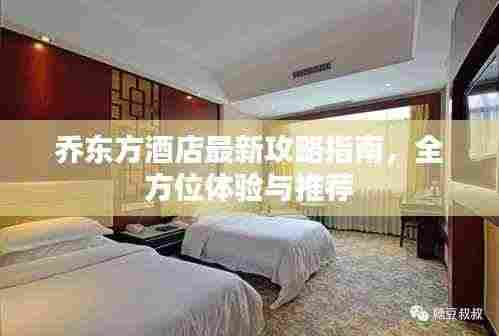 乔东方酒店最新攻略指南,全方位体验与推荐