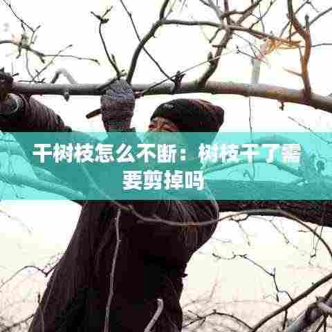 干树枝怎么不断:树枝干了需要剪掉吗