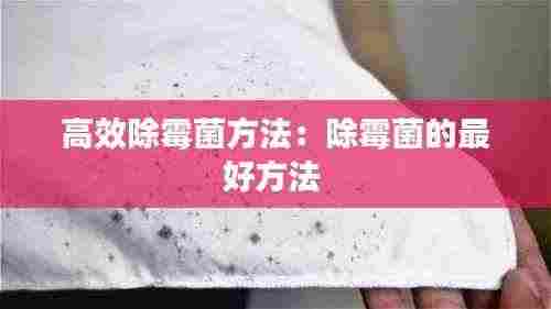 高效除霉菌方法:除霉菌的最好方法