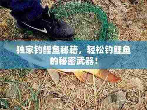 独家钓鲤鱼秘籍,轻松钓鲤鱼的秘密武器!