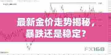 最新金价走势揭秘,暴跌还是稳定?