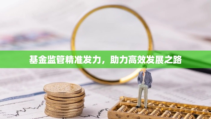 基金监管精准发力,助力高效发展之路