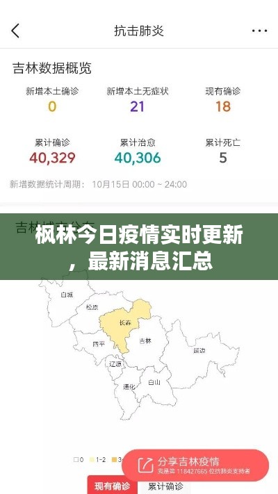枫林今日疫情实时更新,最新消息汇总