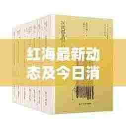 红海最新动态及今日消息总览