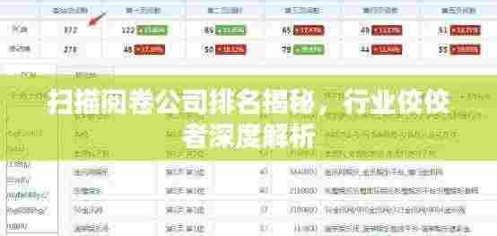 扫描阅卷公司排名揭秘，行业佼佼者深度解析